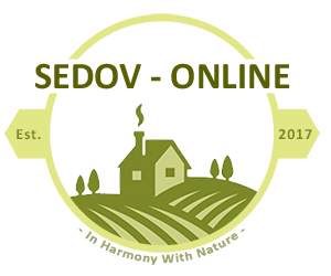 Sedov Online